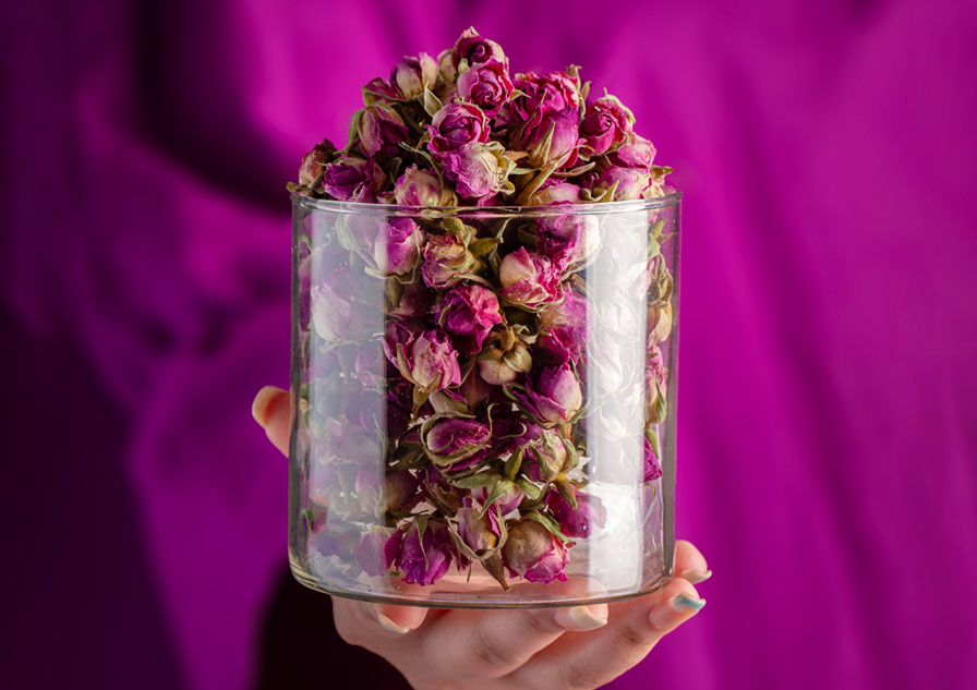 گل محمدی بهرنگ، خوش عطر و پر خاصیت
