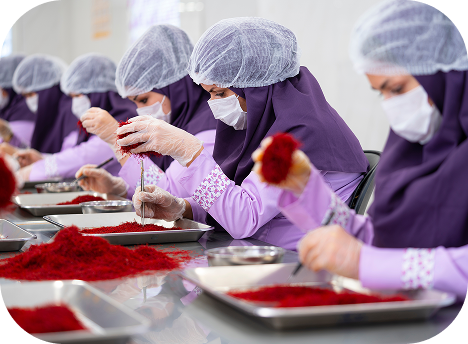 عکس Rectangle 12411 1 - زعفران بهرنگ